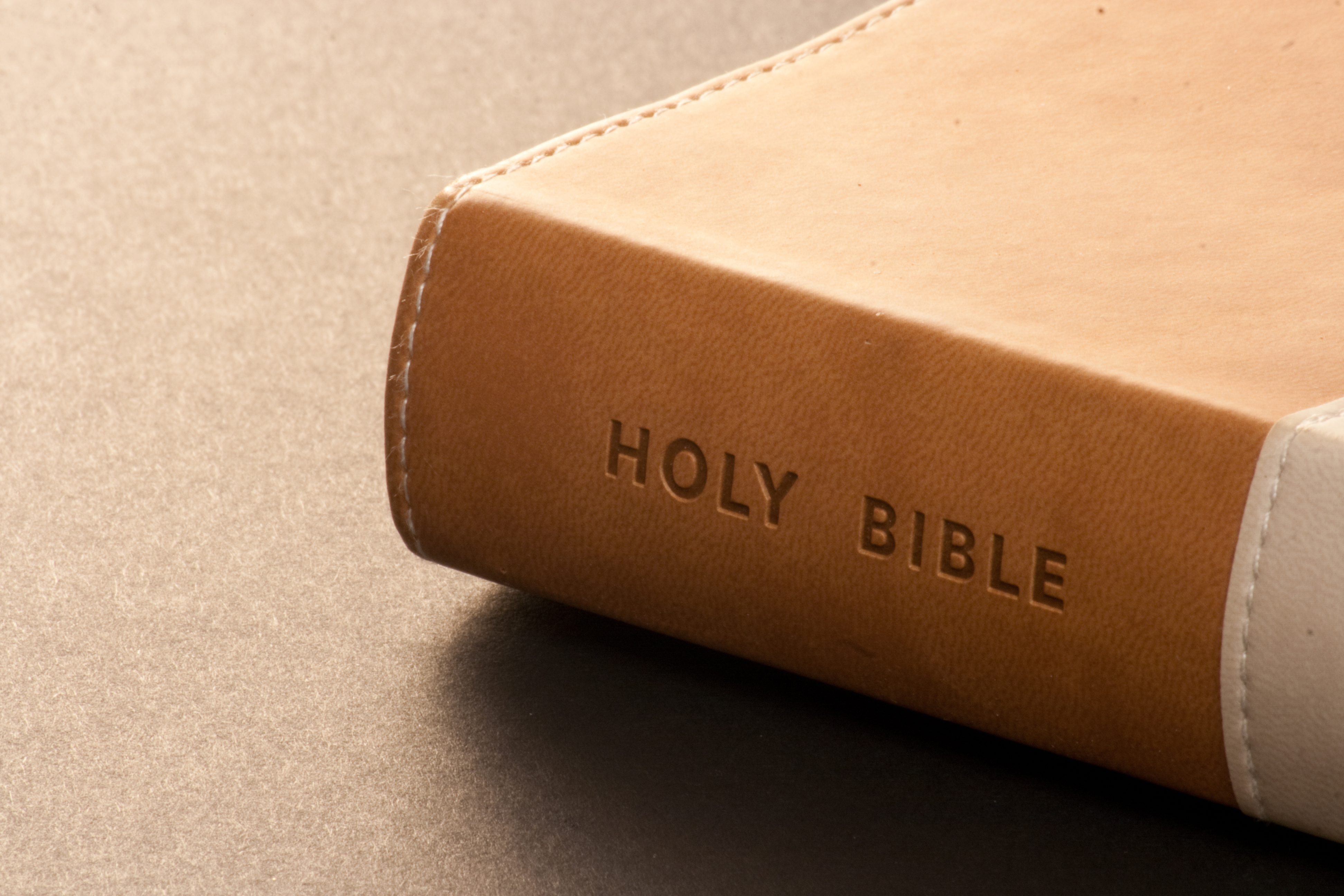 Leather-Bound Bible